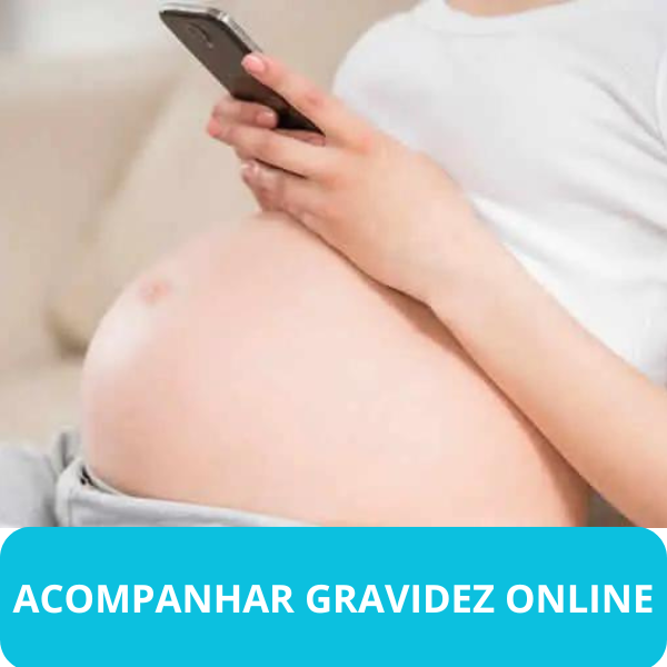 acompanhar gravidez online