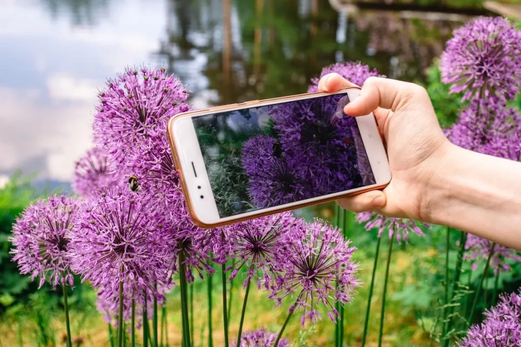 aplicativos para identificar plantas